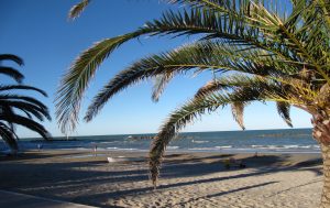 Spiaggia di Grottammare